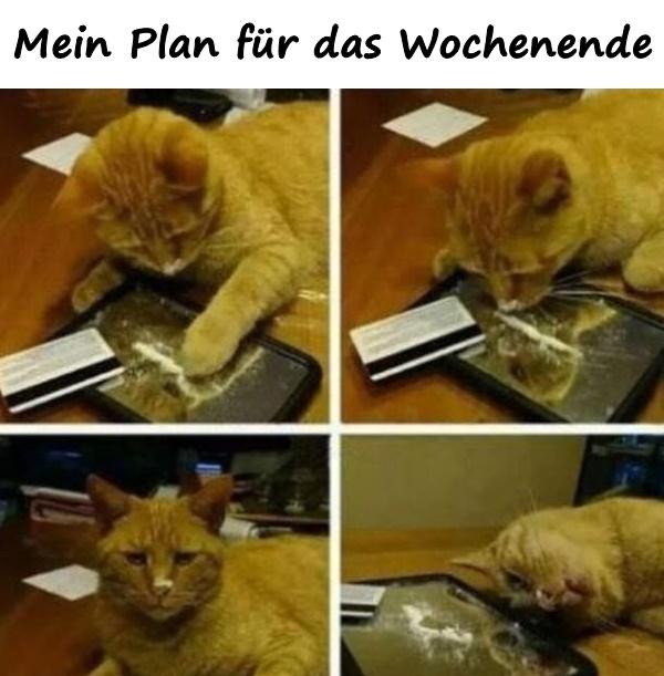 Mein Plan für das Wochenende