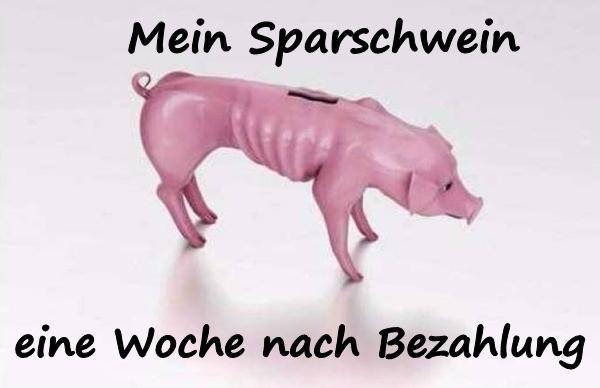 Mein Sparschwein, eine Woche nach Bezahlung