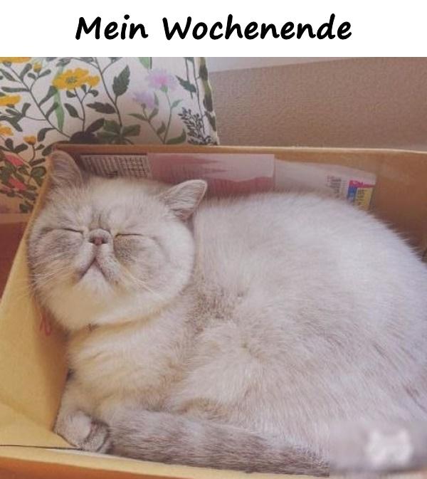 Mein Wochenende