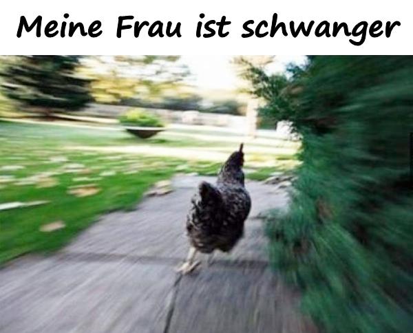 Meine Frau ist schwanger