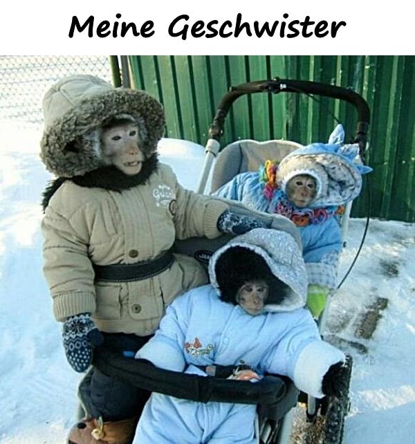 Meine Geschwister