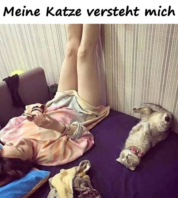 Meine Katze versteht mich