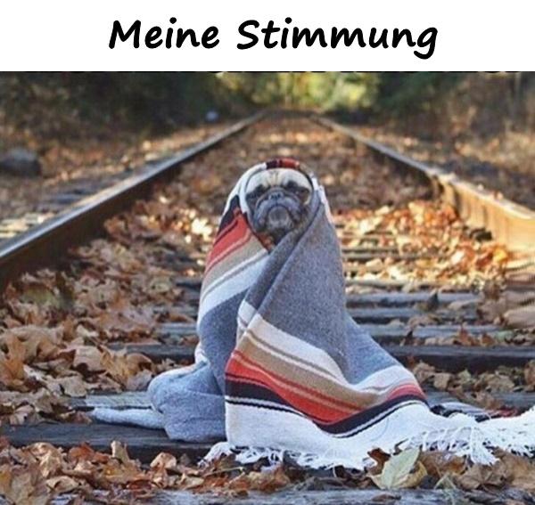 Meine Stimmung