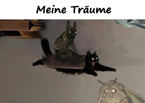 Meine Träume