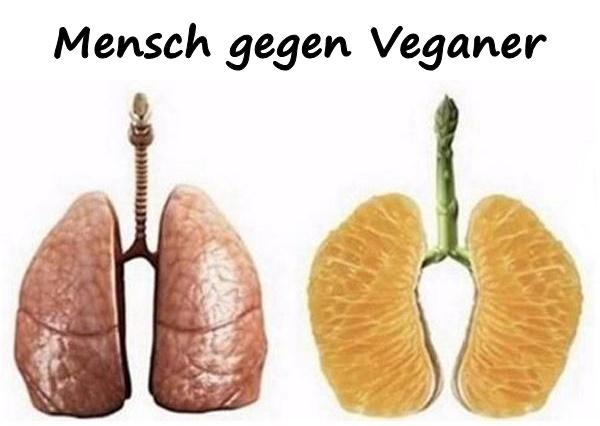 Mensch gegen Veganer