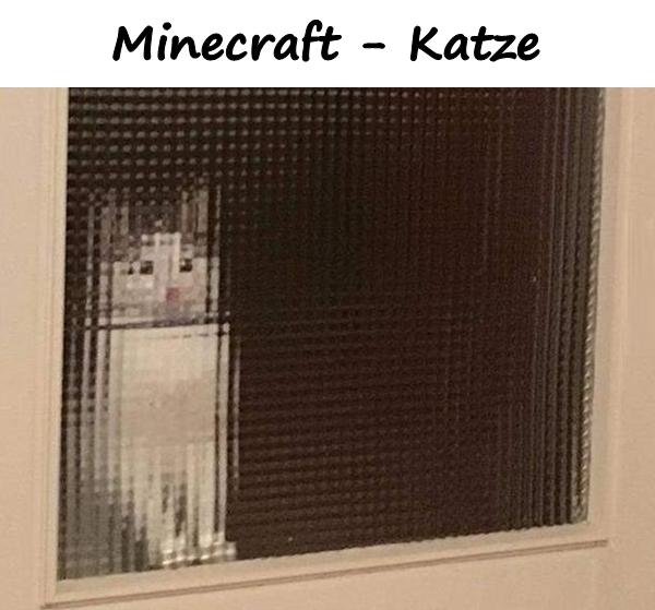 Minecraft - Katze