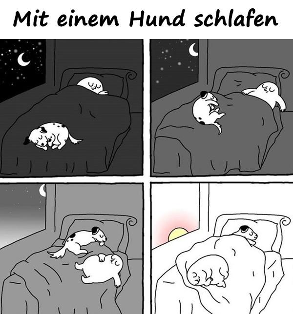 Mit einem Hund schlafen