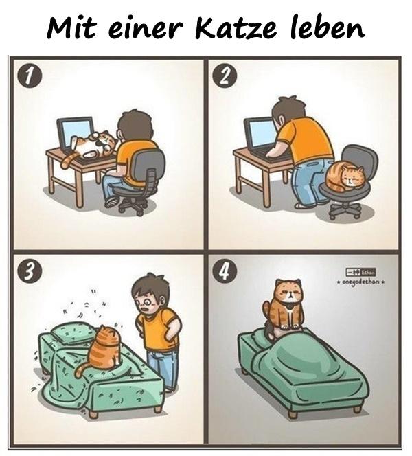 Mit einer Katze leben