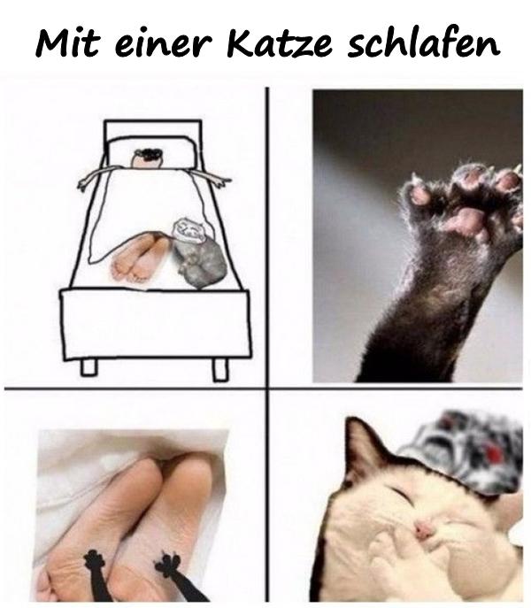 Mit einer Katze schlafen