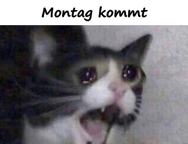 Montag kommt