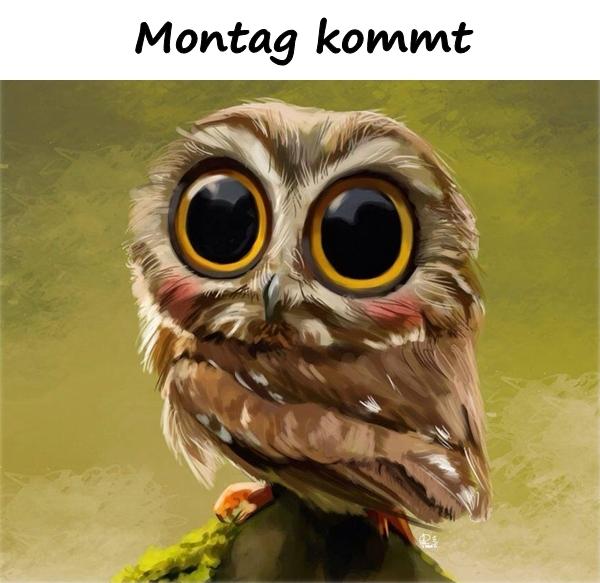 Montag kommt