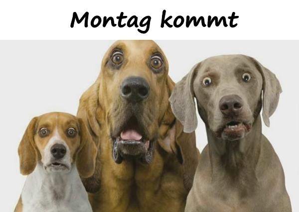 Montag kommt