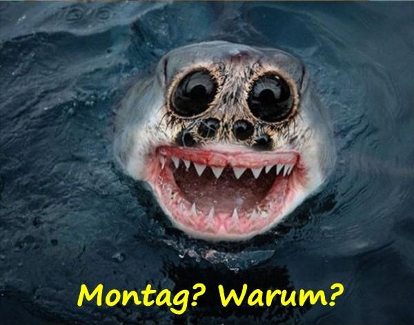 Montag? Warum