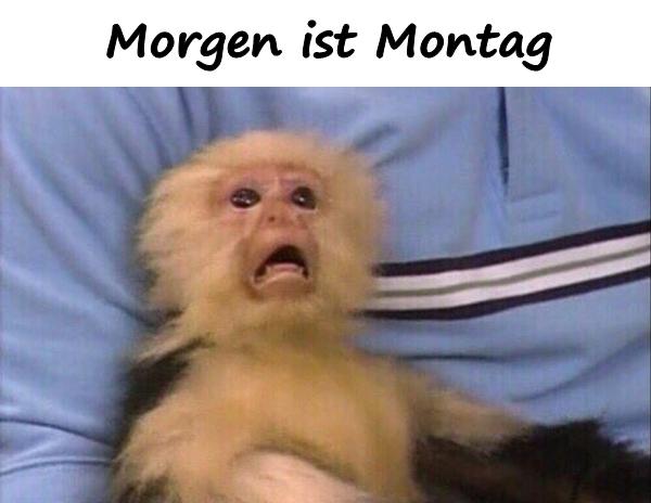 Morgen ist Montag