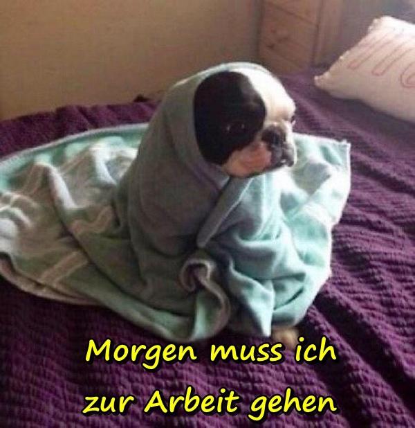 Morgen muss ich zur Arbeit gehen