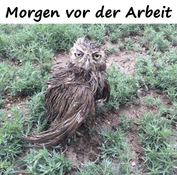 Morgen vor der Arbeit