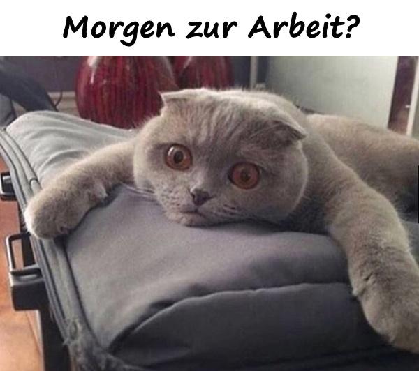 Morgen zur Arbeit