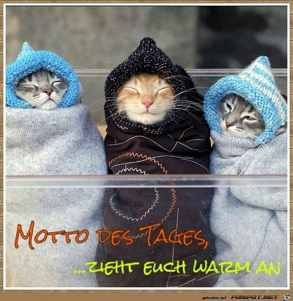 Motto des Tages, zieht euch warm an