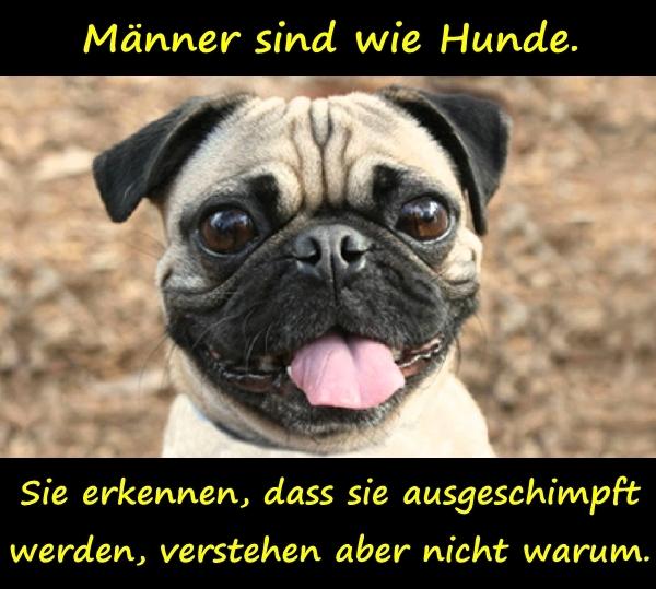 Männer sind wie Hunde. Sie erkennen, dass sie ausgeschimpft