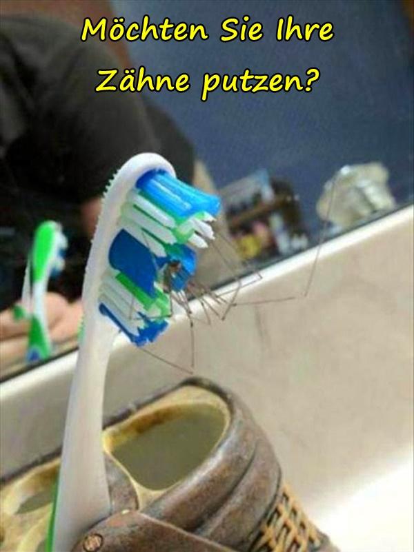 Möchten Sie Ihre Zähne putzen