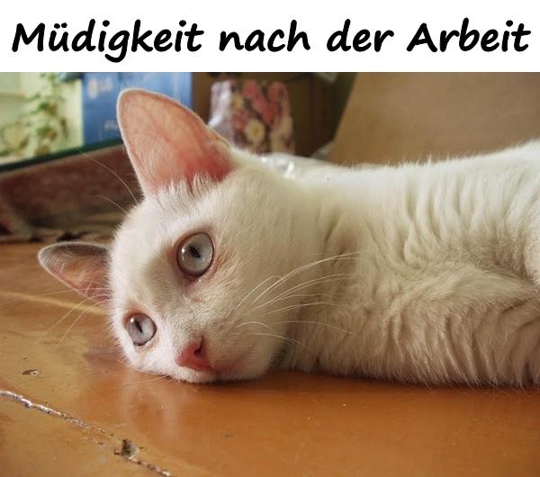 Müdigkeit nach der Arbeit