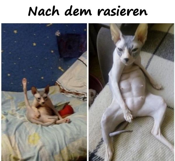 Nach dem rasieren