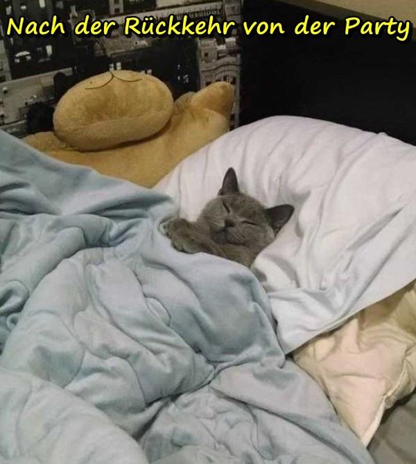 Nach der Rückkehr von der Party