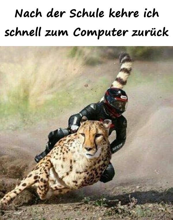 Nach der Schule kehre ich schnell zum Computer zurück