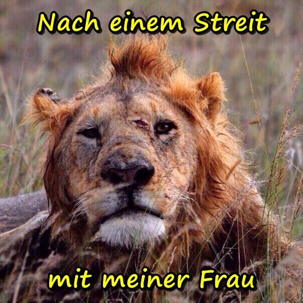 Nach einem Streit mit meiner Frau