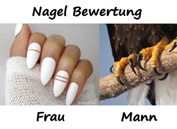 Nagel Bewertung