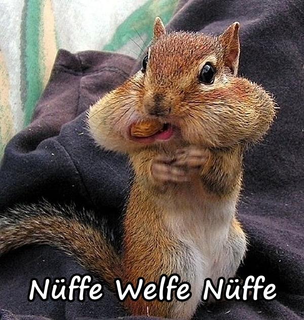 Nüffe? Welfe Nüffe