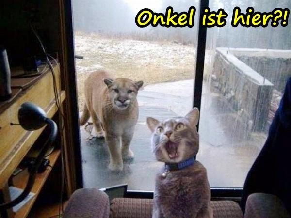 Onkel ist hier