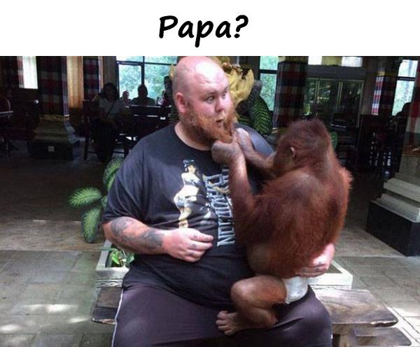 Papa