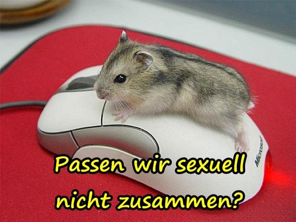 Passen wir sexuell nicht zusammen