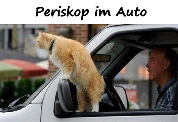 Periskop im Auto