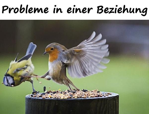 Probleme in einer Beziehung