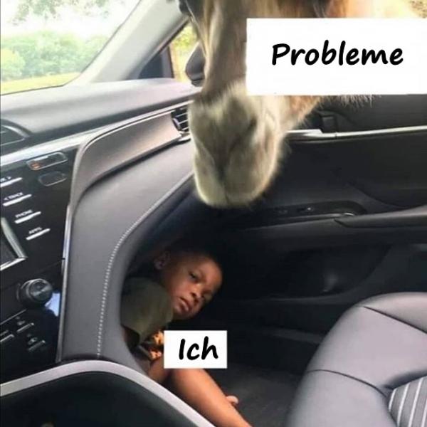 Probleme vs. ich