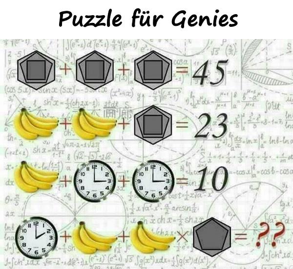 Puzzle für Genies