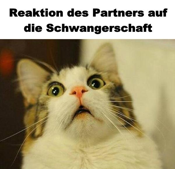 Reaktion des Partners auf die Schwangerschaft