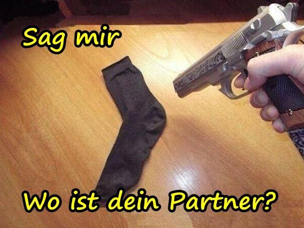 Sag mir, wo ist dein Partner