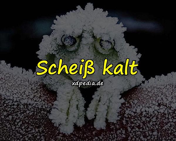 Scheiß kalt