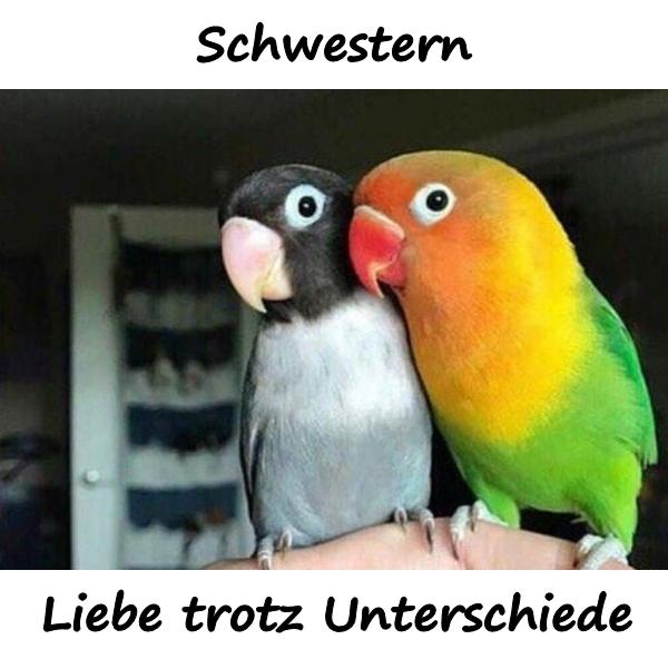 Schwestern. Liebe trotz Unterschiede