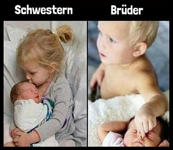 Schwestern und Brüder