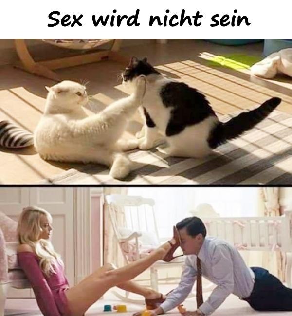 Sex wird nicht sein