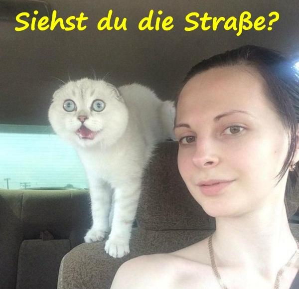 Siehst du die Straße