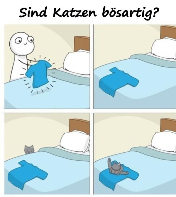 Sind Katzen bösartig