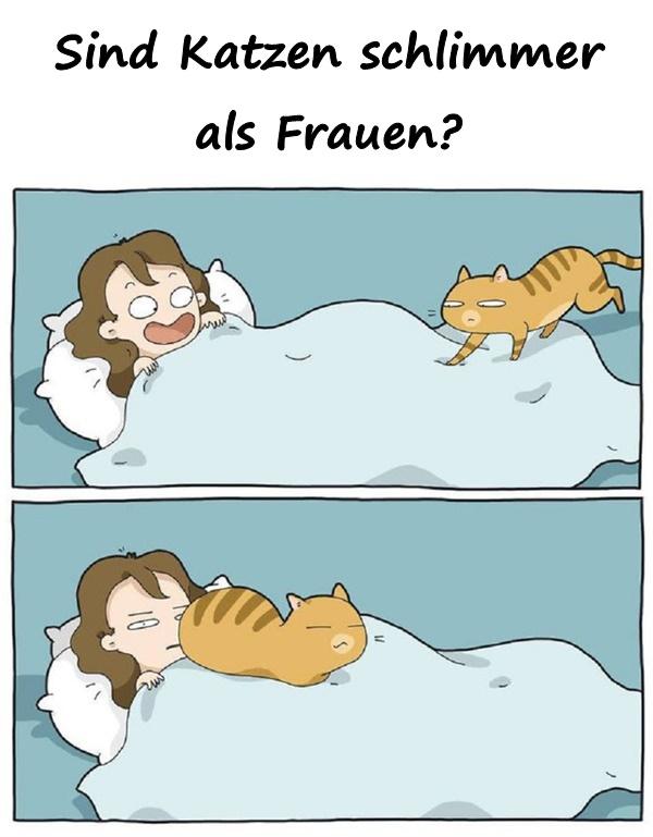 Sind Katzen schlimmer als Frauen