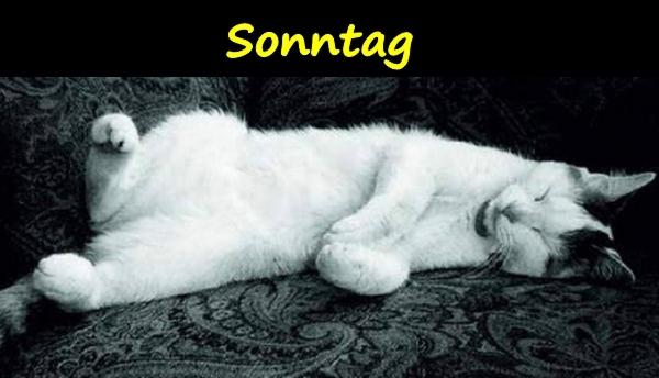 Sonntag