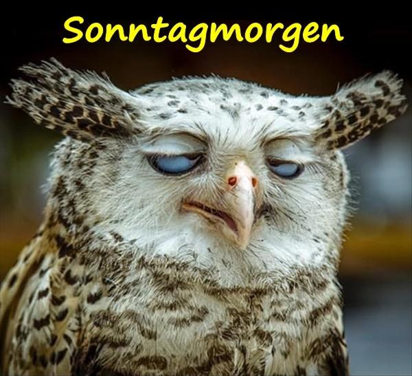 Sonntagmorgen