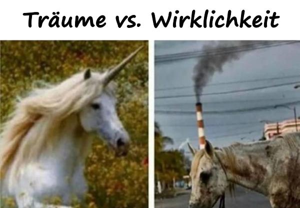 Träume vs. Wirklichkeit